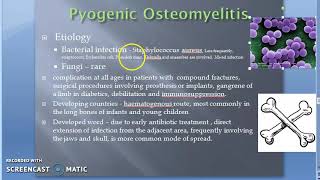 Pathology 825 c Osteomyelitis Infection Of Bone Staph Aureus Amyloidosis [upl. by Mary]