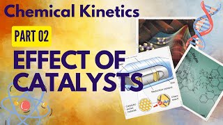 The Catalyst Effeect In Chemistry edexcelchemistry chedexcel [upl. by Peadar67]