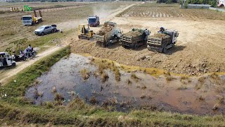 Technique filling Flooded land Push the soil into the field Use Dozer KOMATSU With Small Dump Truck [upl. by Erialc]