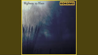 Highway 29 Blues Acoustic [upl. by Eynahpets694]