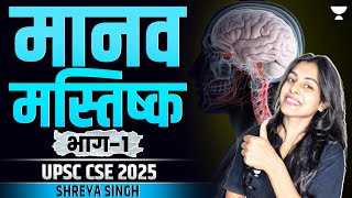 The Human Brain  Anatomy and Functions  UPSC CSE 2025 Prelims amp Mains  Shreya Singh [upl. by Oicnecserc]