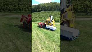 Grape harvest in Wisconsin 🍇 [upl. by Nagaer]