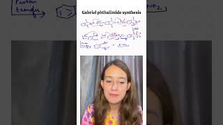 Gabriel phthalimide synthesis Important reaction मेरी इच्छा सबको शिक्षा adityamaurya143 😍youtube [upl. by Enail627]