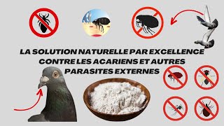 La solution naturelle par excellence contre les acariens et autres parasites externes [upl. by Armil]