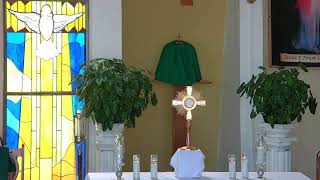 Parish of the Incarnation Live Stream Wednesday Adoration and Holy Mass [upl. by Eesac]