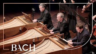 Bach  Concerto for three harpsichords in D minor BWV 1063  Mortensen  Netherlands Bach Society [upl. by Staci]