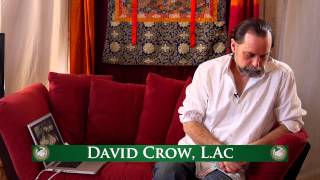 How to Use Essential Oils To Support Respiratory Health  With David Crow LAc [upl. by Haelahk]