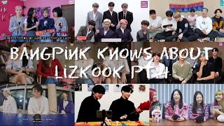 BANGTANPINK Knows About Lizkook compilation Part 4 [upl. by Eserehs528]