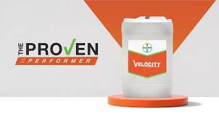 Velocity® Herbicide The Proven Performer for over 10 years [upl. by Maise]