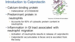 Calprotectin and Inflammatory Bowel Disease Hot Topic [upl. by Marsden]