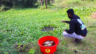 Best Hook Fishing 2024 ✅  Traditional Boy Hunting Big Fish From Beautiful Nature  Best hook trap [upl. by Eneloj]