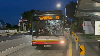 SMRT Buses MAN NL323F A22 Batch 3 SMB1465X on Service 75 [upl. by Llenrrad]