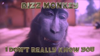 NobiliQ  Rizz Monkey 4KEdit [upl. by Modesty491]