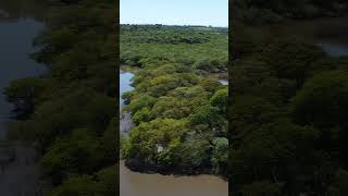 Imagens aéreas no Rio Gravataí banhado [upl. by Atinreb]