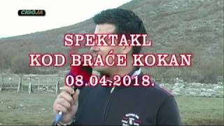 DICMO KORIDA 2018 KOD KOKANA SPOT NAJAVA [upl. by Pollie]