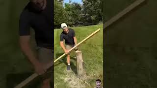 Man Turns Fallen Tree Into Magic shortsvideo [upl. by Labina950]