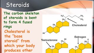 Steroid biochemistry [upl. by Aneladgam]