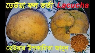 ডেউয়া ভর্তা ।। ডেউয়া উপকারিতা ।। দেশীফল ।। Lacucha ।। Monkey Jack ।। Artocarpus lacucha [upl. by Alliehs]