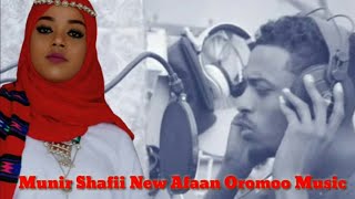 Best Oromoo Music Munir shafii Shaggoye [upl. by Aillicsirp574]