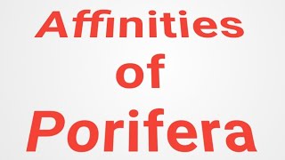 Part 2 Organization and affinities of Porifera [upl. by Perice]