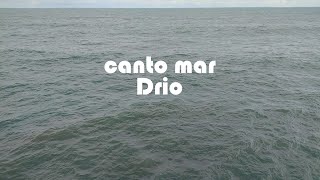 Drio  Canto mar lyrics video [upl. by Alleen]