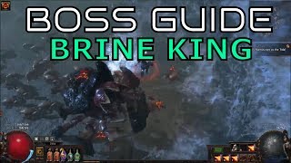 Brine King  Boss Guide  Akt 6  Path of Exile  30 Fall of Oriath Beta deutsch  german [upl. by Fern]