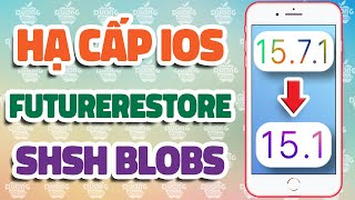 Linux Hạ ios xuống các bản đã khoá sign bằng futurerestore A9A11 [upl. by Megen615]