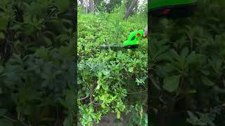 Hedge trimmer garden tools hedge trimmer greening trimming [upl. by Asile]