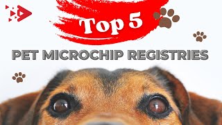 Top 5 pet microchip registries for 2023 [upl. by Lyram]