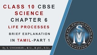 CLASS 10 CBSE SCIENCE CHAPTER 6 LIFE PROCESSES BRIEF EXPLANATION IN TAMIL  PART 1 [upl. by Reni]