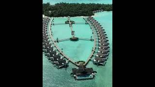 Niyama Private Islands Maldives Maldives Luxury Resort  V Travels Luxury [upl. by Bury]