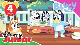 🌶️ Bluey  Clip GrillParty  Disney Junior [upl. by Meela]