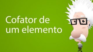 Cofator de um elemento [upl. by Cleaves720]