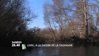 Loire à la saison de la sauvagine [upl. by Krefetz]