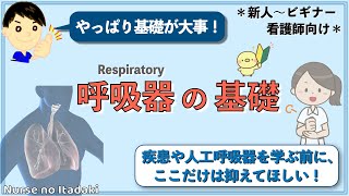 【呼吸器の基礎】疾患や人工呼吸器を学ぶ前に！ [upl. by Yekcor628]