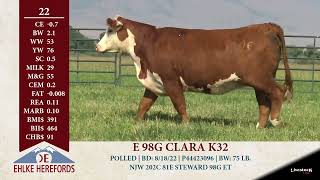 ehlke herefords lot 22 1080p [upl. by Eelnodnarb436]