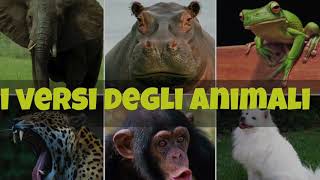 i Versi degli Animali per bambini [upl. by Wistrup]