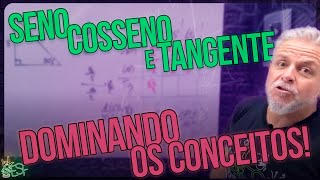 Relações Trigonométricas Seno Cosseno e Tangente de Forma Simples  Matemática com Prof Heraldo [upl. by Stephi]