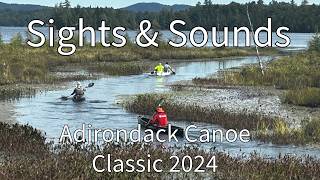 Adirondack Canoe Classic 2024  Sights amp Sounds  Inlet Portage  Browns Tract  Long Lake Bridge [upl. by Nedgo]