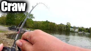 Spring Bass Fishing From the Bank with a Texas Rig Craw Realistic [upl. by Akinihs820]