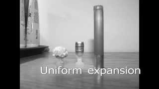 210 grain 410 Shotgun Slug Created by www410shotgunnercom [upl. by Charley]