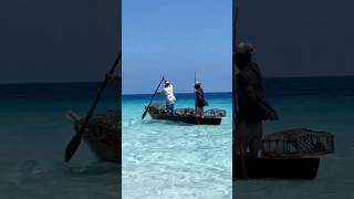 Fishing life in Zanzibar africatravels africanhustle youtubeshorts beautiful beach moreviews [upl. by Eicnahc]