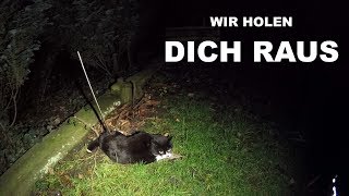 WIR HOLEN DICH RAUS  Tiernotruf 138 [upl. by Farwell326]