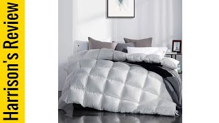 Best Goose Down Comforter 2023  Top 5 [upl. by Wheelwright]