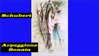 Schubert  Arpeggione Sonata  1 Allegro Moderato [upl. by Yecnuahc664]