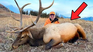 I Finally Killed My First Elk [upl. by Nwahsiek]