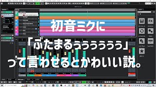 初音ミクに「ぶたまるぅぅぅぅぅぅ」って言わせるとかわいい説。 [upl. by Puritan70]