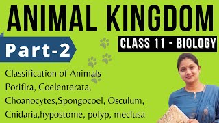 Animal Kingdom Class 11 Biology  Full Chapter  NEET  Part2 [upl. by Trevorr]