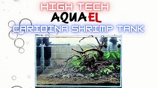 High Tech Caridina Shrimp Tank [upl. by Petrine485]