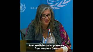 Special Rapporteur Albanese highlights the dire situation of Palestinians in Gaza  United Nations [upl. by Airahcaz]